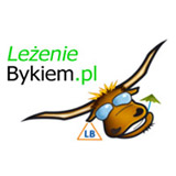 Leżenie bykiem